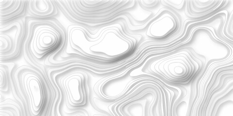 Abstract topography pattern seamless lines sea map modern design white background. Abstract digital topographic contour map concept space geometric strip grid line. Natural discovery of maps.	