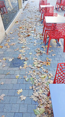 Les feuilles de platanes aux couleurs d'automne s'accumulent dans les rues.