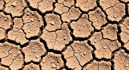 Dry cracked earth texture background drought soil arid land global warming climate change desertification crisis