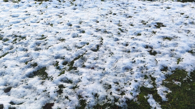 Snow-covered grass in a field during winter, a beautiful natural landscape