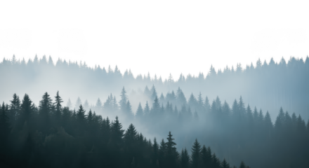 Misty Forest Landscape Border with Distant Mountains and Copy Space Isolated on White