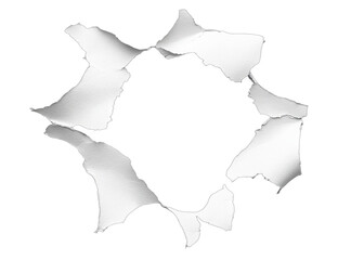 A close-up view of a torn paper sheet with irregular edges