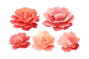 Fototapeta premium Five Delicate Peonies in Shades of Pink and Coral.