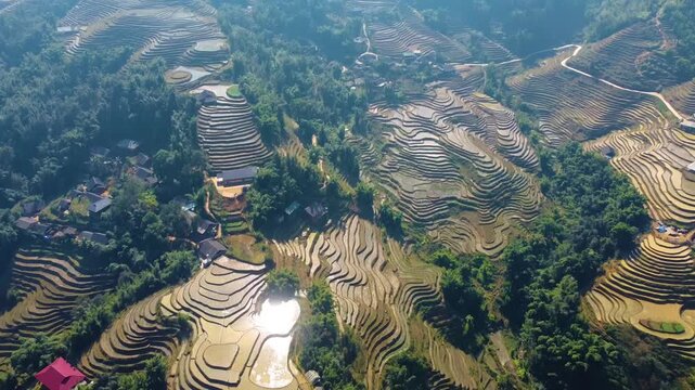 Going above the rice fields of Sa Pa in the north of Vietnam. Incredible view taken with my drone.