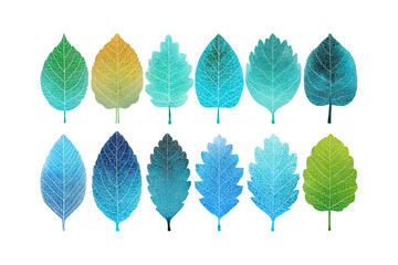 Fototapeta premium Vibrant collection of diverse leaves showcasing natures colorful botanical beauty.