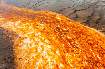 Yellowstone became the first national park for all visitors to enjoy the unique hydrothermal and geologic features, to observe wildlife and active geysers.