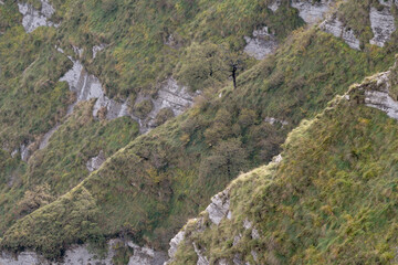 Views of Delika Canyon from Mount Santiago