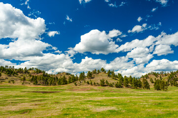 Breathtaking scenery of the Wind Cave National Park, South Dakota