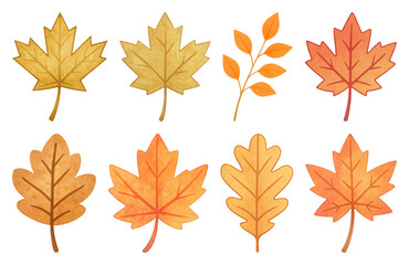 Fototapeta premium PNG Colorful autumn leaves illustration, element set on transparent background