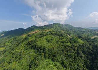 Aerial Symphony of Green Hills, Twisting Trails, and Towering Clouds in Bandarban