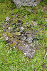A close up of a pile of rocks in a grassy area. The rocks are covered in moss and lichen, and the grass is green and lush.