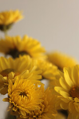 Close-up selective soft focus yellow, orange Flower bud, pestle; stamen, petals. Natural background