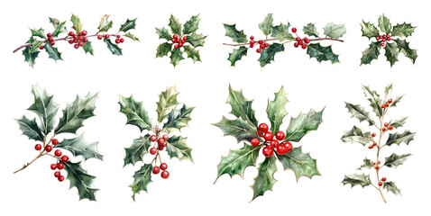 PNG Festive holly branches with berries, element set on transparent background