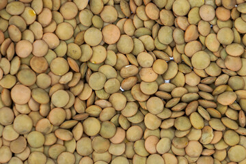 Top view of Lentils