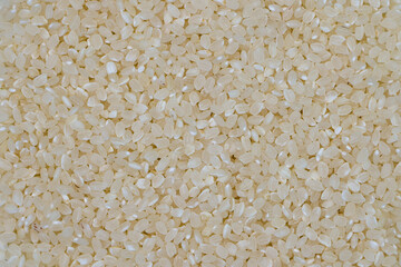 Top view of uncooked sushi rice