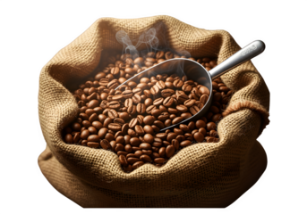 Roasted Coffee Beans in Burlap Sack with Metal Scoop Isolated on Transparent Background PNG