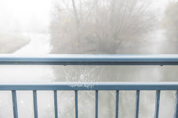 Blaues Br&uuml;ckengel&auml;nder aus Metall mit Spinnennetz vor Nebellandschaft mit Flutmulde und Fluss Erms in Neckartenzlingen
