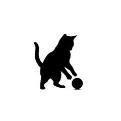 Playful black cat pawing ball with shadow, isolated pet silhouette
