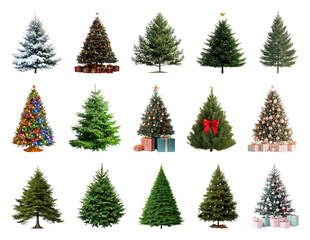 PNG Diverse festive Christmas tree collection, element set on transparent background