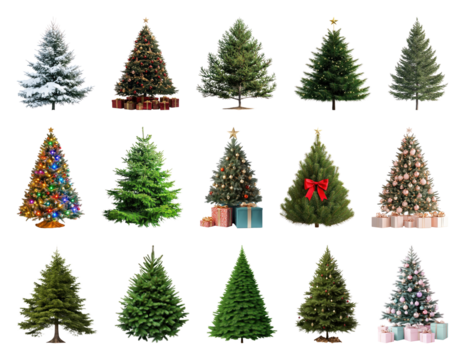 PNG Diverse festive Christmas tree collection, element set on transparent background