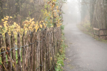 Detail Staketenzaun mit kahlen Pflanzen und Herbstlaub verliert sich im Nebel am hohlen Stein in Neckartenzlingen