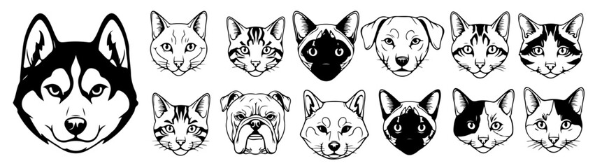 Obraz premium Adorable pet portraits showcasing dog and cat breeds for pet lovers and animal enthusiasts