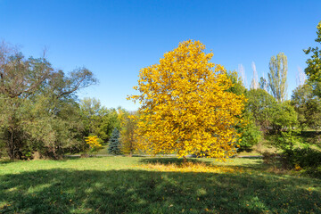 Fototapeta premium Landscape of South Park in city of Sofia, Bulgaria