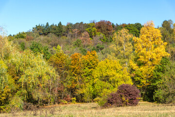 Landscape of South Park in city of Sofia, Bulgaria