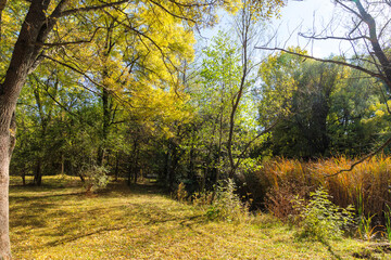 Landscape of South Park in city of Sofia, Bulgaria