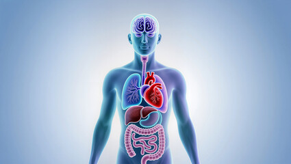 Exploring the human body and its complex systems