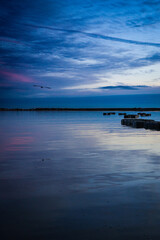 Fototapeta premium Blue hour waterfront with dramatic clouds and flying bird
