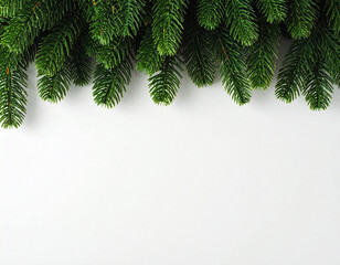 Obraz premium Lush Green Fir Tree Branches Bordering Clean White Space, Festive Holiday Background.