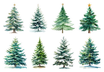 Obraz premium Watercolor evergreen trees for Christmas.