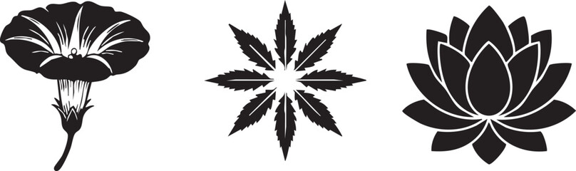 Three black floral silhouettes isolated on transparent background