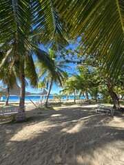 Philipinnes Virgin Island tropical area with palmtrees and white sand