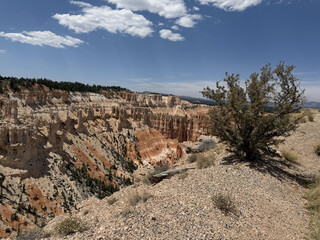 The Cathedral in Bryce Canyon National Park in Utah Photo