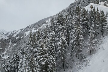 Wintery Snowscapes in Provo Canyon, Utah. Snowy tress, steep cliffs and rocky canyons. 