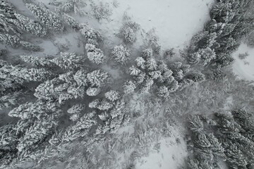 Wintery Snowscapes in Provo Canyon, Utah. Snowy tress, steep cliffs and rocky canyons. 