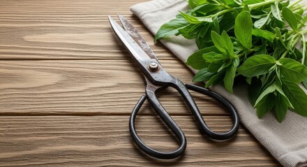 Scissors resting on wooden table next to fresh green herbs  