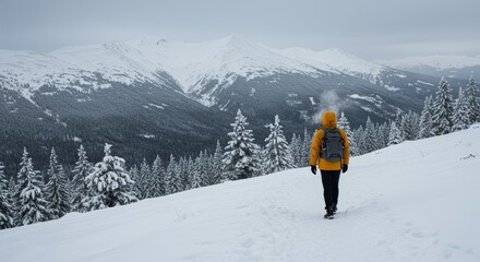Hiking adventure in snowy mountains colorado travel photography winter landscape