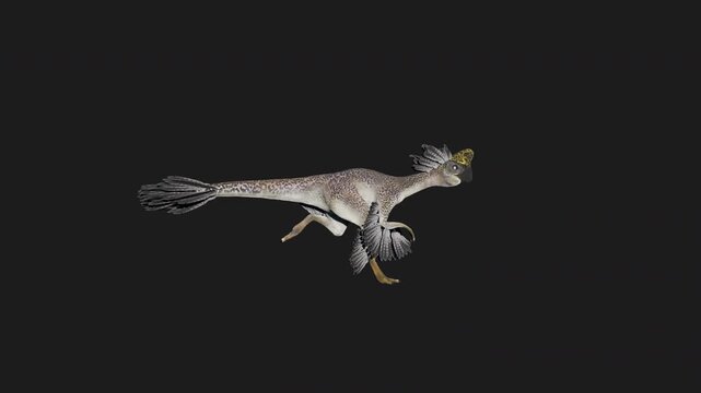 Realistic Oviraptor Dinosaur Running Side View