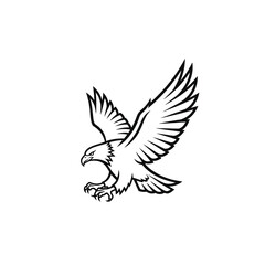 Obraz premium Black and white line art illustration of a fierce bald eagle in flight with wings spread