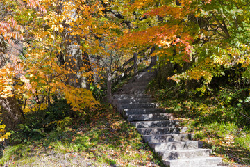宇奈月温泉やまびこ展望台への階段