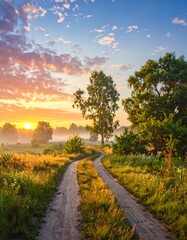 Winding dirt path through sunlit meadow at sunrise with colorful clouds.