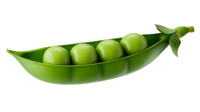 Four bright green fresh garden peas resting inside an open vibrant green pea pod, isolated on transparent background for a clean, healthy food presentation