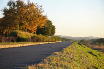 夕方の土手にある道