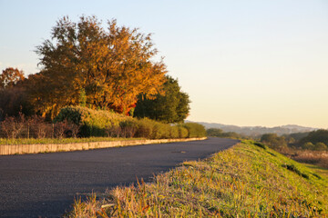 夕焼けに染まる土手道