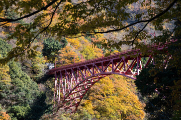 黒部峡谷鉄道トロッコ電車の新山彦橋の橋梁
