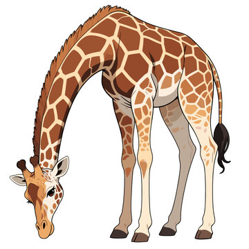 Giraffe Cartoon Anime Neck Down