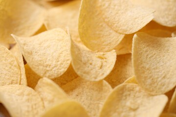 Homemade Flavored Paprika Potato Chips in a Bowl, top view. Flat lay
